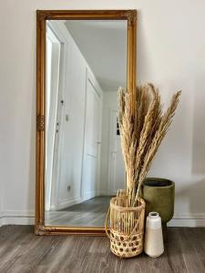 uno specchio in una stanza con un vaso con una pianta di Lovely 2-bedroom Duplex w/ balcony in Brussels a Bruxelles