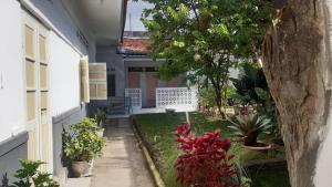 an outside view of a house with plants in the yard at Kallista Homestay in Banyuwangi