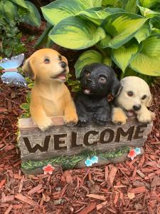 Mascotas con sus dueños en Log Cabin in the Field