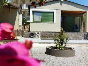 a house with a potted plant in front of it at Cosmitsa House in Vingláfia