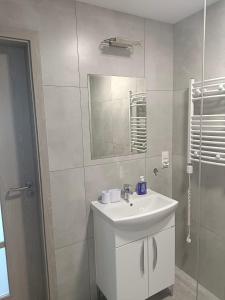 een witte badkamer met een wastafel en een spiegel bij Agroturystyka Żuczek in Okuniowiec