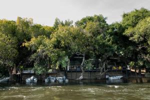 Gallery image of Ichingo Chobe River Lodge by Mantis in Punga