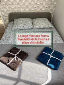 een bed met twee kussens erop bij A la "Georgette" et son jardin avec parking in Villers-sur-Mer