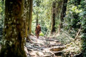 a man walking on a trail in a forest at Legacy Yen Tu - MGallery in Uông Bí
