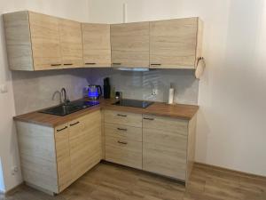 a small kitchen with wooden cabinets and a sink at Apartamenty Aleksandra in Biały Dunajec