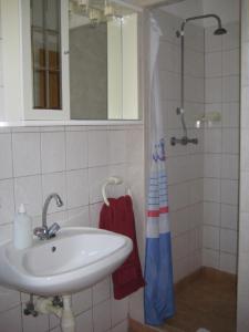a bathroom with a sink and a shower at Tüttös vendéghàz in Hedrehely