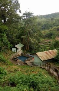 a house with a swimming pool on a hill at WATURAKA TOURISM VILLAGE in Ende