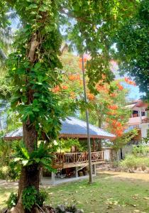Zahrada ubytování Koh Tao Tropicana Resort