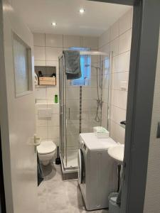 a bathroom with a shower and a toilet and a sink at Geschmackvoll eingerichtete Wohnung in Braunschweig in Braunschweig