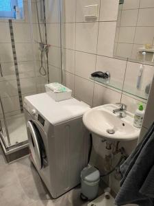 a bathroom with a washing machine and a sink at Geschmackvoll eingerichtete Wohnung in Braunschweig in Braunschweig
