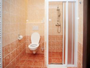 a bathroom with a toilet and a shower at Penzion Budopartner in Jívka