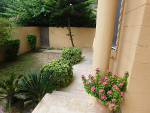 Κήπος έξω από το Melberry House