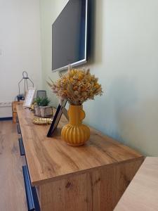 a vase with flowers on a wooden table with a tv at Appartement centre de Sisteron in Sisteron