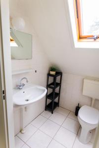 a bathroom with a sink and a toilet at Luxe Veluws Vakantiehuis met JACUZZI in Lunteren +14 photos