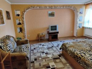 a living room with a couch and a tv at Апартаменти на Вул Перемоги 8 дрiб 3 in Khmelnytskyi