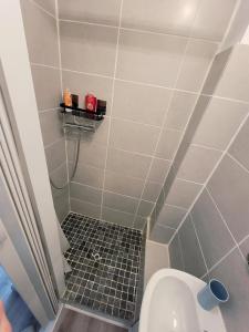 a bathroom with a shower with a toilet at Studio 1 piece vacances proche de la mer in Le Grau-du-Roi