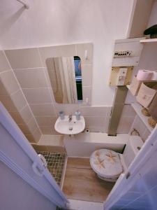 a bathroom with a sink and a toilet and a mirror at Studio 1 piece vacances proche de la mer in Le Grau-du-Roi