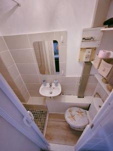 a bathroom with a sink and a toilet and a mirror at Studio 1 piece vacances proche de la mer in Le Grau-du-Roi +2 photos