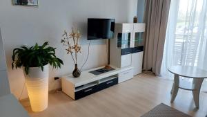 een woonkamer met een tv en een vaas met een plant bij Nocleg u Kasi TRÓJMIASTO in Kowale