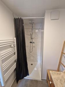 W łazience znajduje się prysznic z zasłoną prysznicową. w obiekcie Gîte les 4 sabots de la Baie w mieście Bourseville
