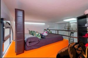 - une chambre avec des lits superposés et un chien assis à l'étage dans l'établissement La casa del Mamut - Viladecans, à Viladecans