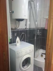 a small bathroom with a washing machine and a toilet at Dušanov Konak in Bajina Bašta