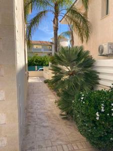 a walkway with a palm tree and a building at Anna Villa in Protaras