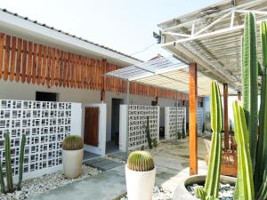 a courtyard with cactuses and a pergola at Cactus Guest House Borobudur in Borobudur
