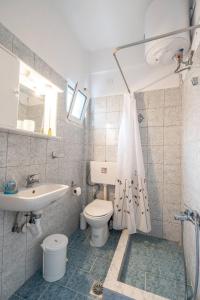 ein Bad mit einem WC, einem Waschbecken und einer Dusche in der Unterkunft Amazing View in Akhladherí