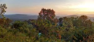マディケーリにあるWesternghats Homestayの山々を背景にした森の景色