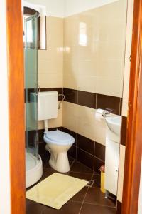 馬拉亞鄉的住宿－Casa Lotrilor，一间带卫生间和水槽的浴室