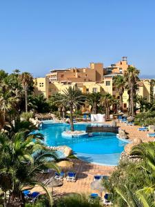 un complejo con 2 piscinas con sillas y palmeras en Apartamentos Moguima, en Roquetas de Mar