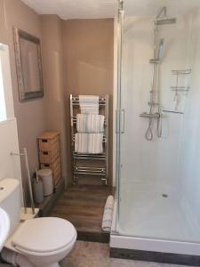 a bathroom with a shower and a toilet and a sink at Spacious Family Friendly Apartment- 100m from beach with Seaviews! in Hunstanton