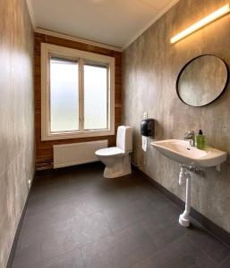 ein Badezimmer mit einem WC, einem Waschbecken und einem Spiegel in der Unterkunft Brinkeboda Wärdshus in Mörsil