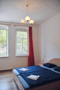 a bedroom with a blue bed and two windows at Apartmán Rybná - Kraslice in Kraslice