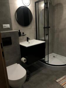 a bathroom with a sink and a toilet and a mirror at Apartamenty MAX blisko Energylandia in Ryczów