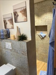 a bathroom with a shower with a toilet and a shower at Ferienwohnungen auf dem Erlenhof in Beverungen +13 photos