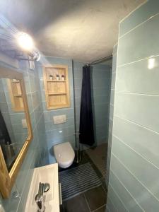 uma casa de banho com um WC, um lavatório e um espelho. em Studio duplex en face Les Arcs em Bourg-Saint-Maurice