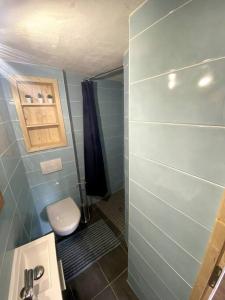 een badkamer met een toilet, een wastafel en een douche bij Studio duplex en face Les Arcs in Bourg-Saint-Maurice