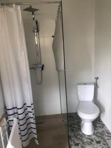 a bathroom with a toilet and a shower curtain at Przytulny apartament dla dwojga in Sulejów