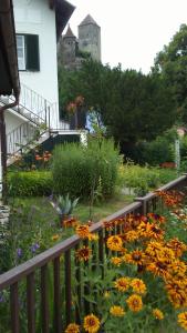 a garden with flowers in front of a house at Burgblick-Hardegg in Hardegg