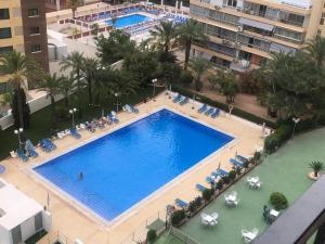 uitzicht op een groot zwembad met stoelen en palmbomen bij BERMUDAS-TURIS Apartamentos in Benidorm