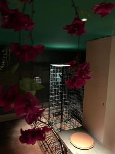 Gallery image of The Secrets Jungle in Altkirch