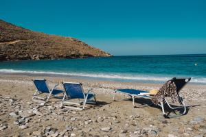 Táj Show holiday homes közelében
