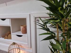 a potted plant sitting next to a white cabinet at Safire home in Murton