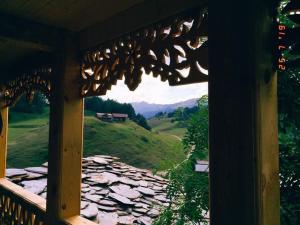 Landskap semula jadi dekat dengan rumah tamu ini