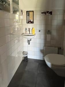 ein weißes Bad mit einem Waschbecken und einem WC in der Unterkunft Natuurhuisje OosterEese 