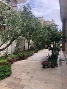 Casa ideale per la tua vacanza في بيسكارا: ممشى به اشجار وورود في مبنى