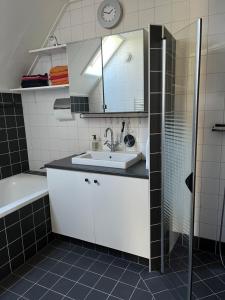 ein Bad mit einem Waschbecken, einem Spiegel und einer Dusche in der Unterkunft Natuurhuisje OosterEese 