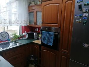 Kuchyň nebo kuchyňský kout v ubytování Rodinný půldomek s vybavením a bazenem